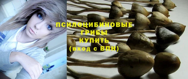синтетический гашиш Арсеньев