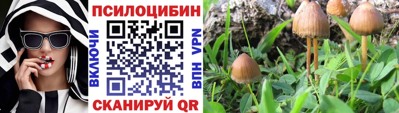 Псилоцибиновые грибы мухоморы  продажа наркотиков  darknet состав  Славск 